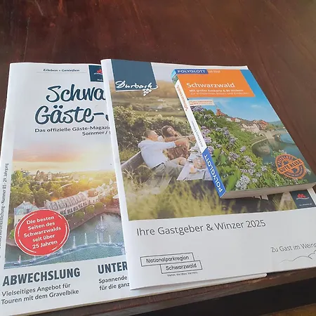 In Durbach- Urlaub Am Weinberg *