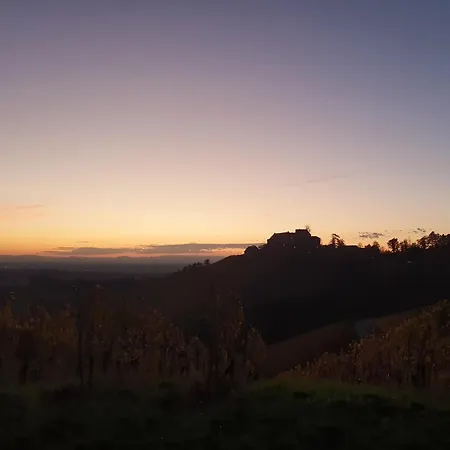 Apartmán In Durbach- Urlaub Am Weinberg