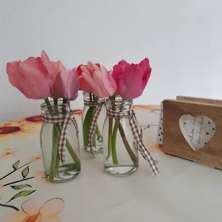 Apartmán In Durbach- Urlaub Am Weinberg *