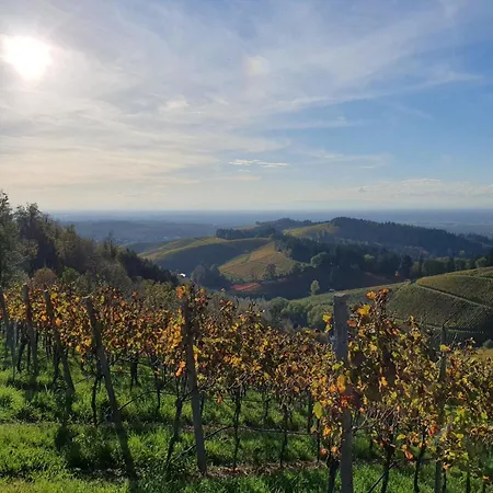 In Durbach- Urlaub Am Weinberg Apartment *
