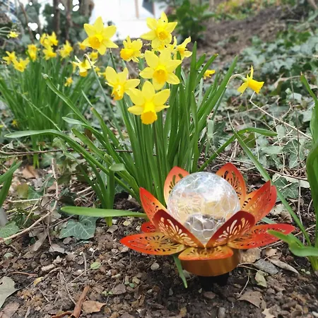 In Durbach- Urlaub Am Weinberg Apartmán