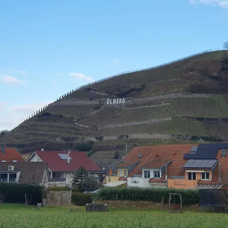 In Durbach- Urlaub Am Weinberg * Дурбах