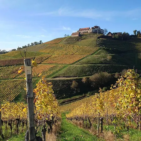 Apartment In Durbach- Urlaub Am Weinberg